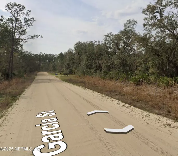 00 GARCIA ST, Interlachen, FL 32148