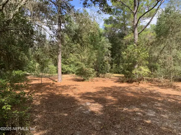 Hawthorne, FL 32640,114 & 116 WILLOW ST