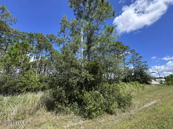 Middleburg, FL 32068,4376 COUNTY ROAD 218