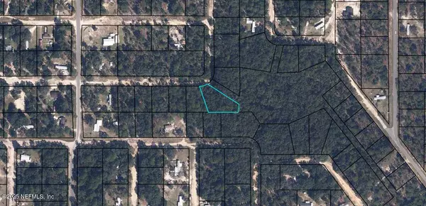 Keystone Heights, FL 32656,6343 AMHERST AVE