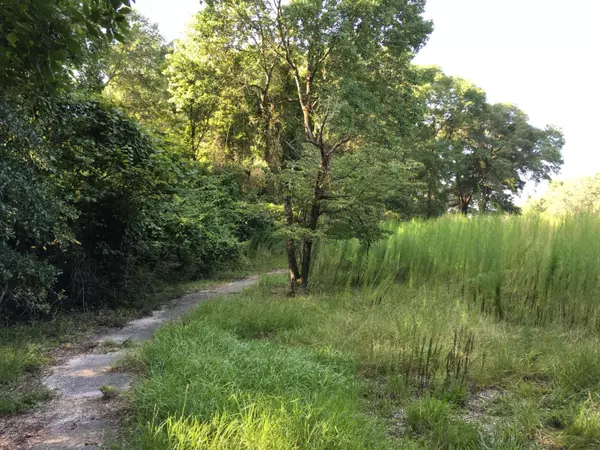 Middleburg, FL 32068,00 BLACK CREEK TRACT