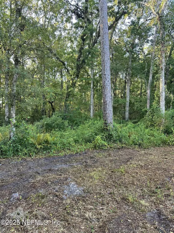 Green Cove Springs, FL 32043,0 RAVENWOOD DR