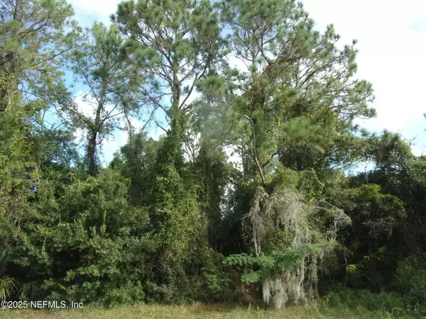 Satsuma, FL 32189,00 SAN MATEO RD
