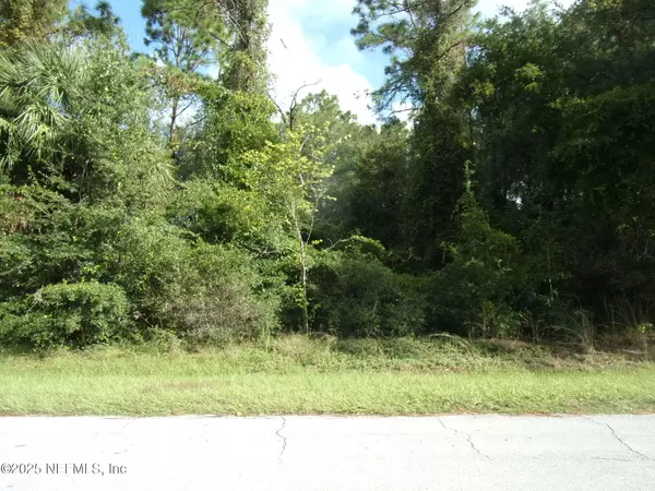 Satsuma, FL 32189,00 SAN MATEO RD