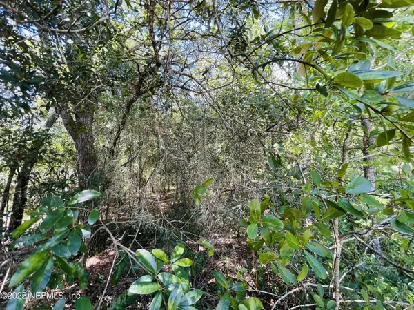 Florahome, FL 32140,7184 CARDINAL ST