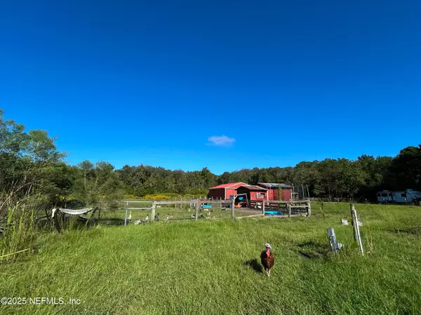 Keystone Heights, FL 32656,5070 MENDOZA TRL
