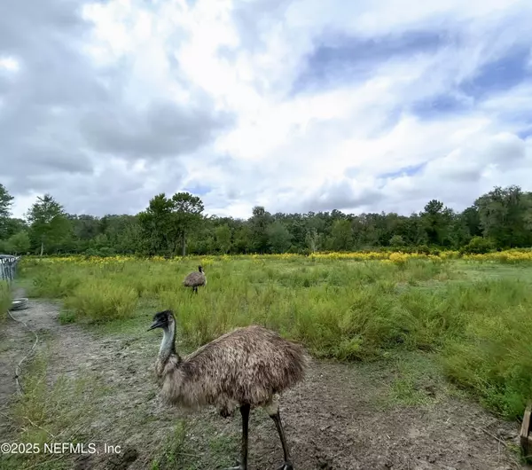 Keystone Heights, FL 32656,5070 MENDOZA TRL