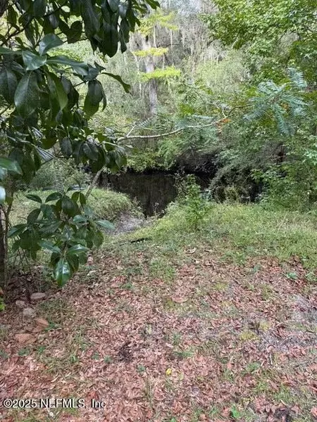 0 SKIPPER RD, Middleburg, FL 32068