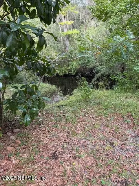 Middleburg, FL 32068,0 SKIPPER RD