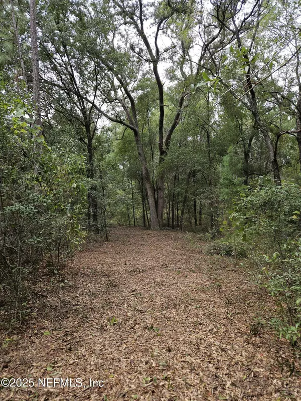 Pomona Park, FL 32181,136 LEMON ST