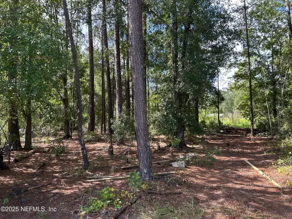 Jacksonville, FL 32234,16448 N VILLAGE GREEN DR N