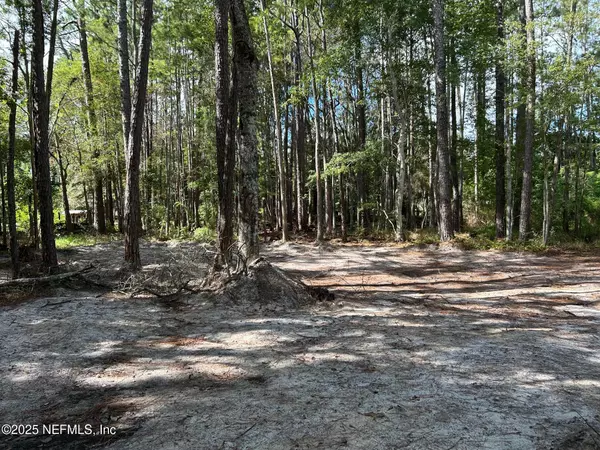 Jacksonville, FL 32234,16448 N VILLAGE GREEN DR N