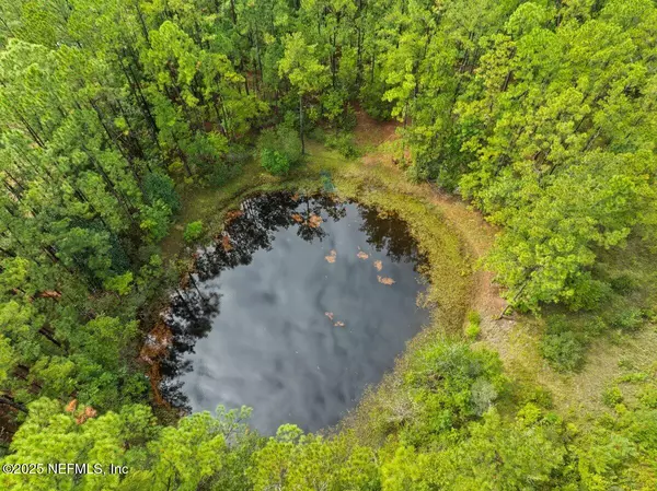 Middleburg, FL 32068,3033 COUNTY ROAD 220