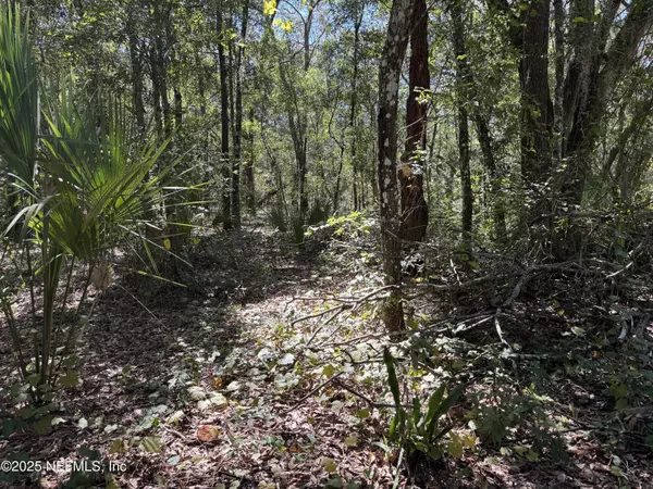 Interlachen, FL 32148,140 & 146 CINNAMON DR