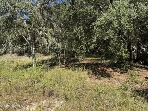 Interlachen, FL 32148,140 & 146 CINNAMON DR