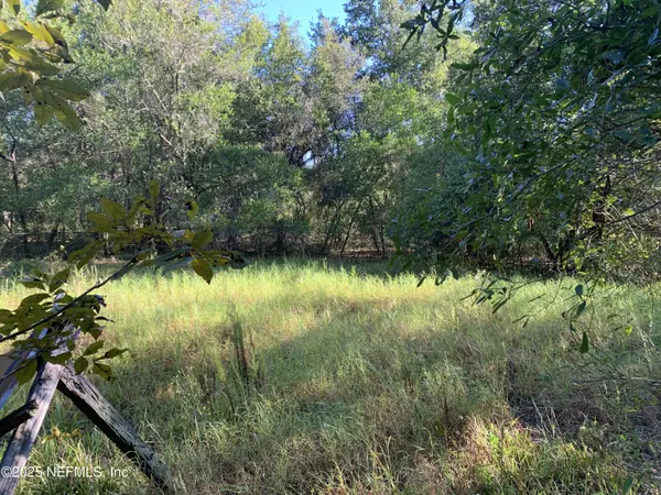Hawthorne, FL 32140,000 BADEN POWELL RD