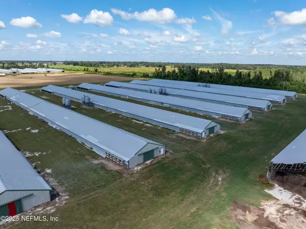 Mayo, FL 32066,1175 SW COUNTY ROAD 351