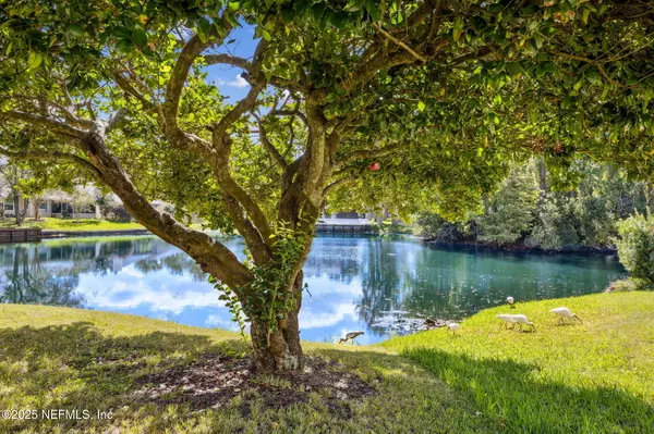 Orange Park, FL 32073,2077 TANAGER DR