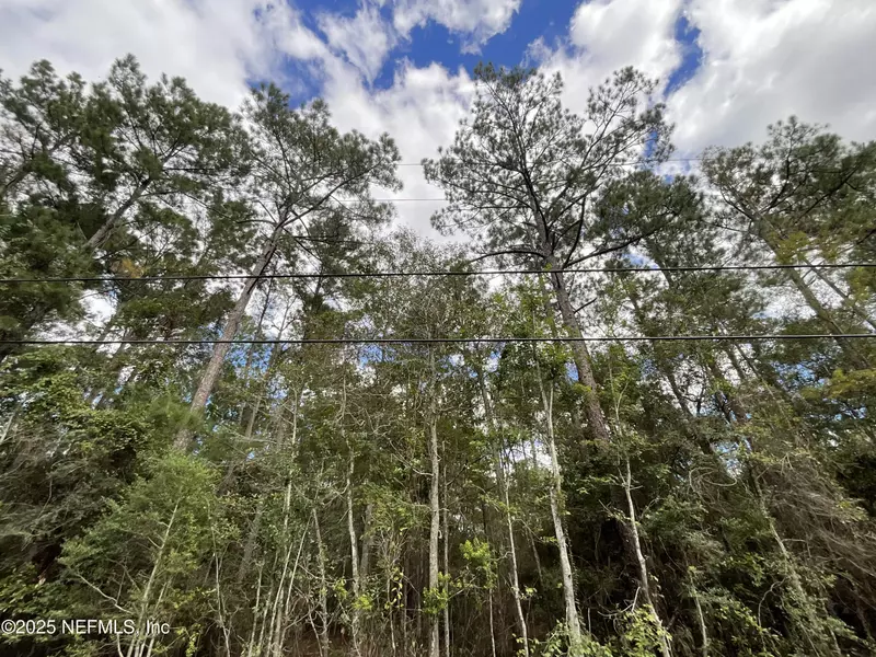 3089 VERONICA AVE, Middleburg, FL 32068