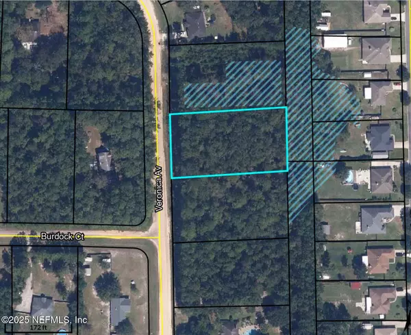 Middleburg, FL 32068,3089 VERONICA AVE