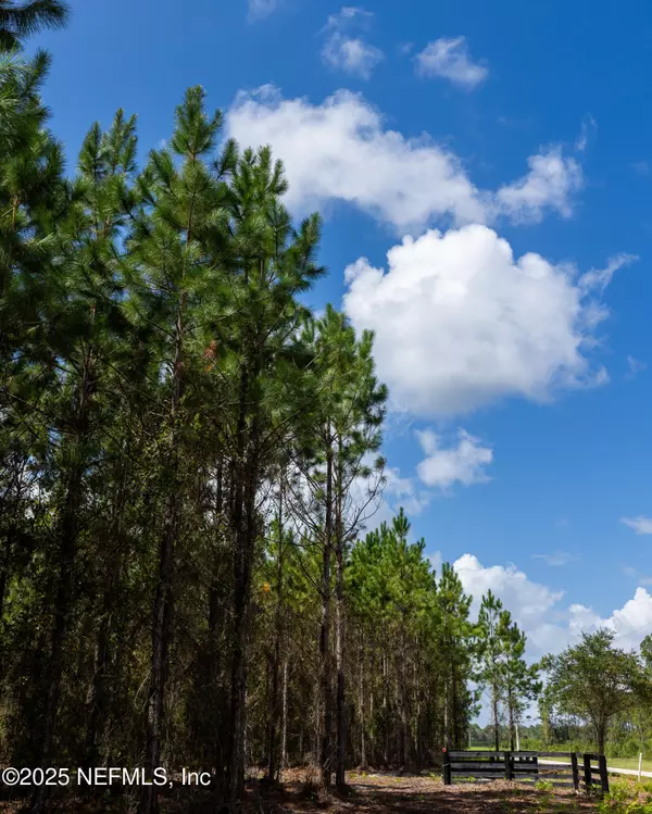 Starke, FL 32091,LOT 3 SW COUNTY ROAD 225