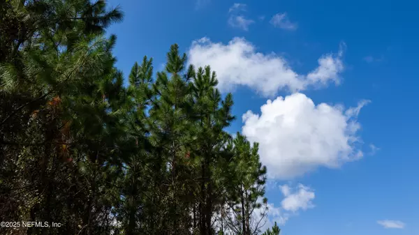 Starke, FL 32091,LOT 10 SW COUNTY ROAD 225