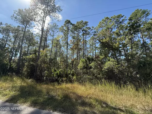 Bunnell, FL 32110,0 COUNTY RD 325