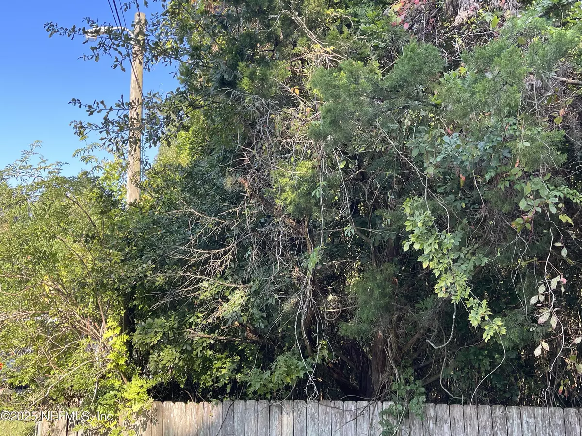 Green Cove Springs, FL 32043,3159 DOTHAN RD