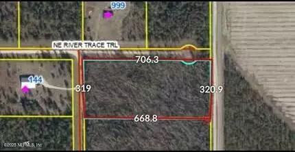 00 NE RIVER TRACE TRL, Lee, FL 32059