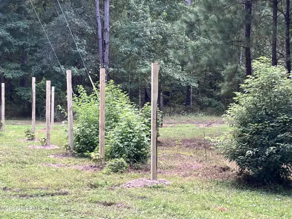 Middleburg, FL 32068,3923 SKIPPER RD