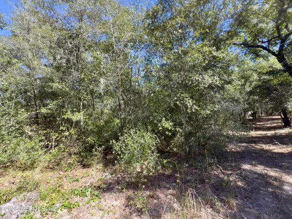 Interlachen, FL 32148,000 S S COUNTY ROAD 315