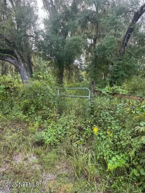 Hawthorne, FL 32640,104 FLORADANDY RD