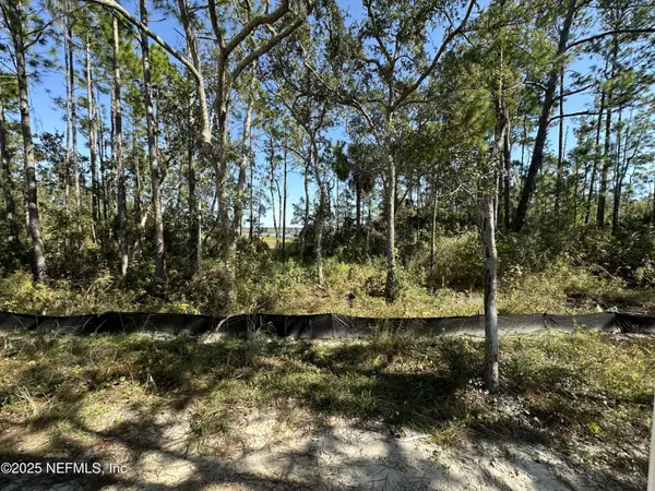 St. Augustine, FL 32095,118 HISTORIC BRICK LN