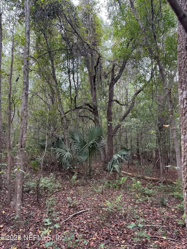 Starke, FL 32091,00 CR 229A