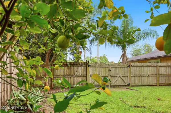 Middleburg, FL 32068,1828 KILLARN CIR