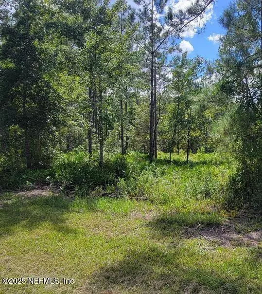 Keystone Heights, FL 32656,4329 BONDARENKO RD