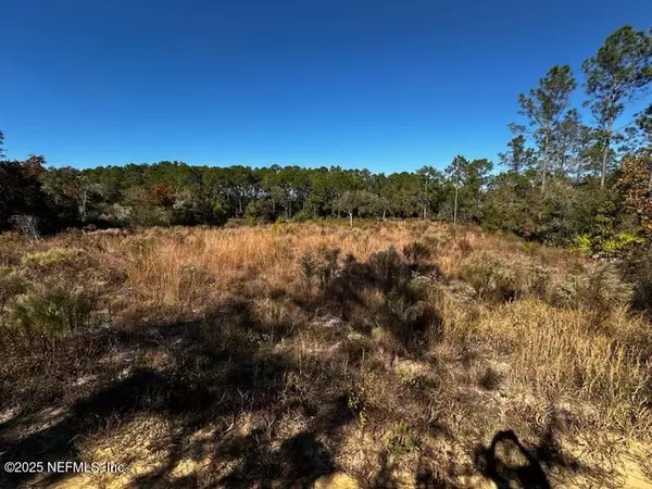 220 COMO CIR, Interlachen, FL 32148