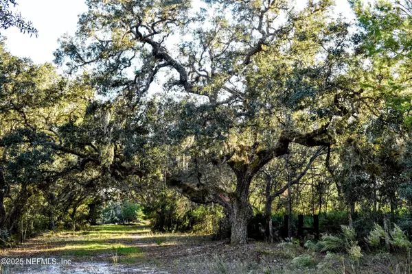 Interlachen, FL 32148,96 BRIDLE DR