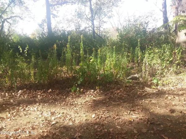 Satsuma, FL 32189,109 GARDEN PL