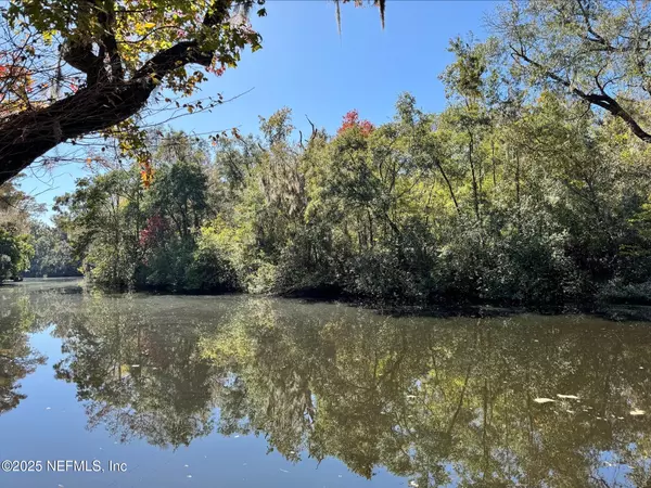 Middleburg, FL 32068,4301 LAZY ACRE RD