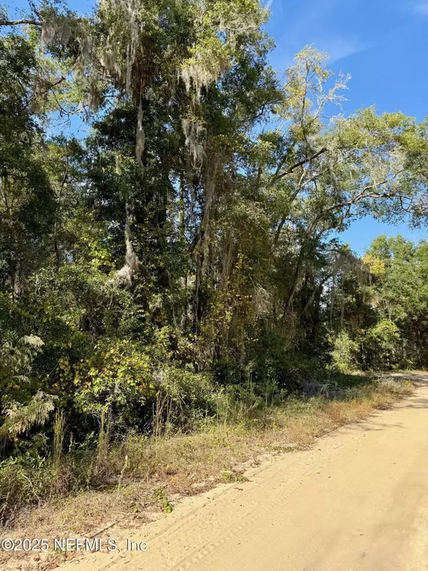 Interlachen, FL 32148,XXX EVANS AVE