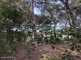 Pomona Park, FL 32181,333 LAKE COMO DR