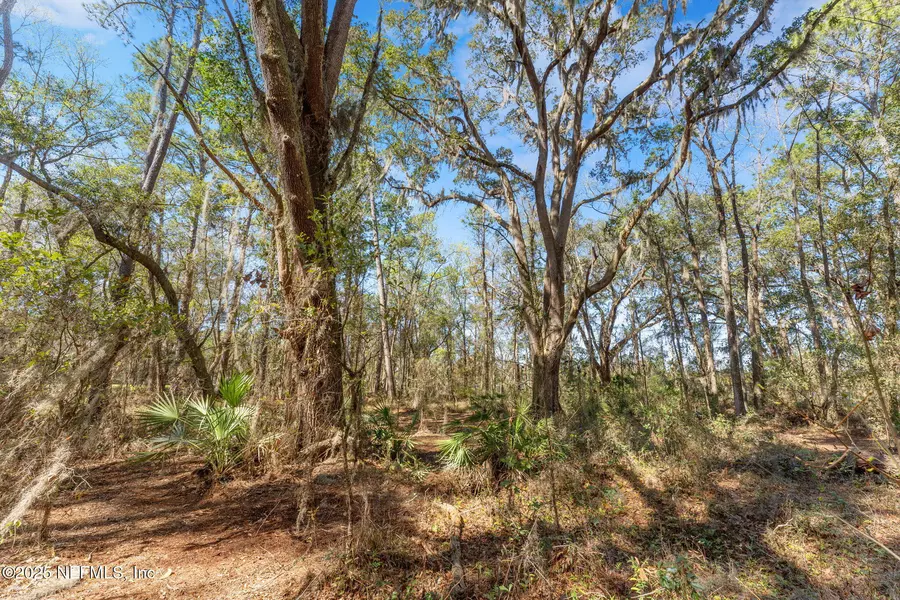 0 POLKA Roadway, Clay Hill, FL 32234