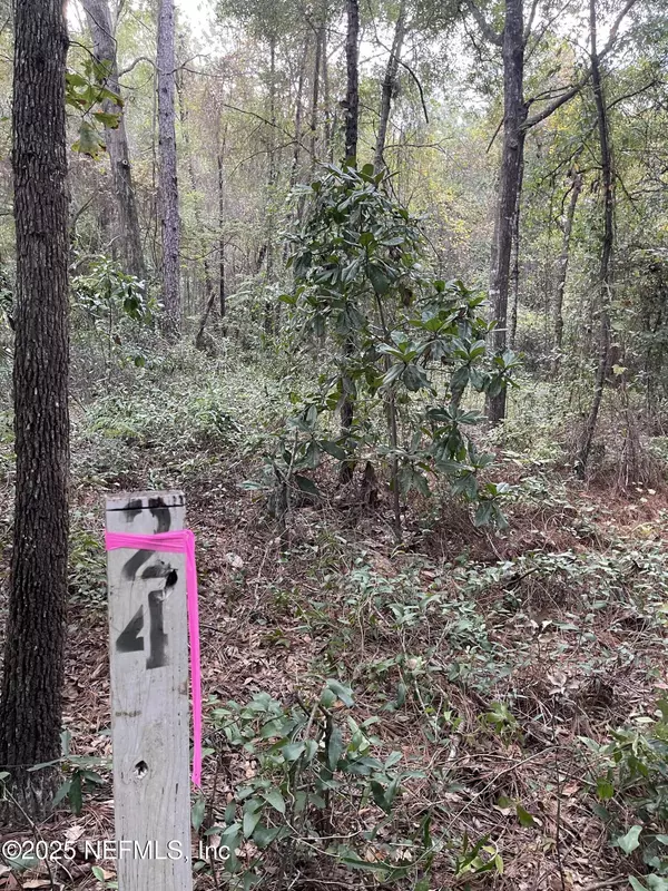 Keystone Heights, FL 32656,0 SE 51ST LOT 24 ST