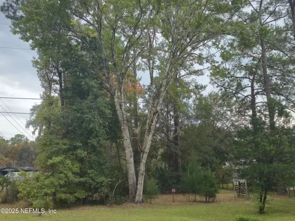 Middleburg, FL 32068,4241 LAZY ACRES RD