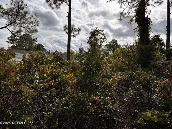 Palm Coast, FL 32164,88 PRINCESS RUTH LN