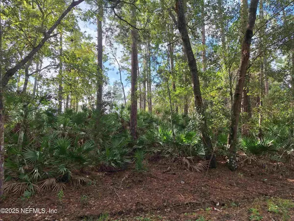 Satsuma, FL 32189,201 PINEWAY WEST AVE