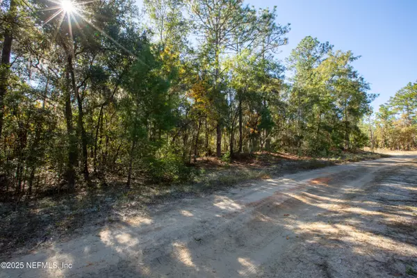 Florahome, FL 32140,000 W HILLSBOROUGH AVE