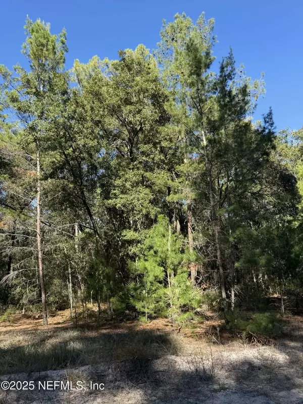 112 DUVAL AVE, Florahome, FL 32140