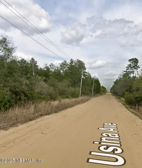 210 USINA AVE, Interlachen, FL 32148